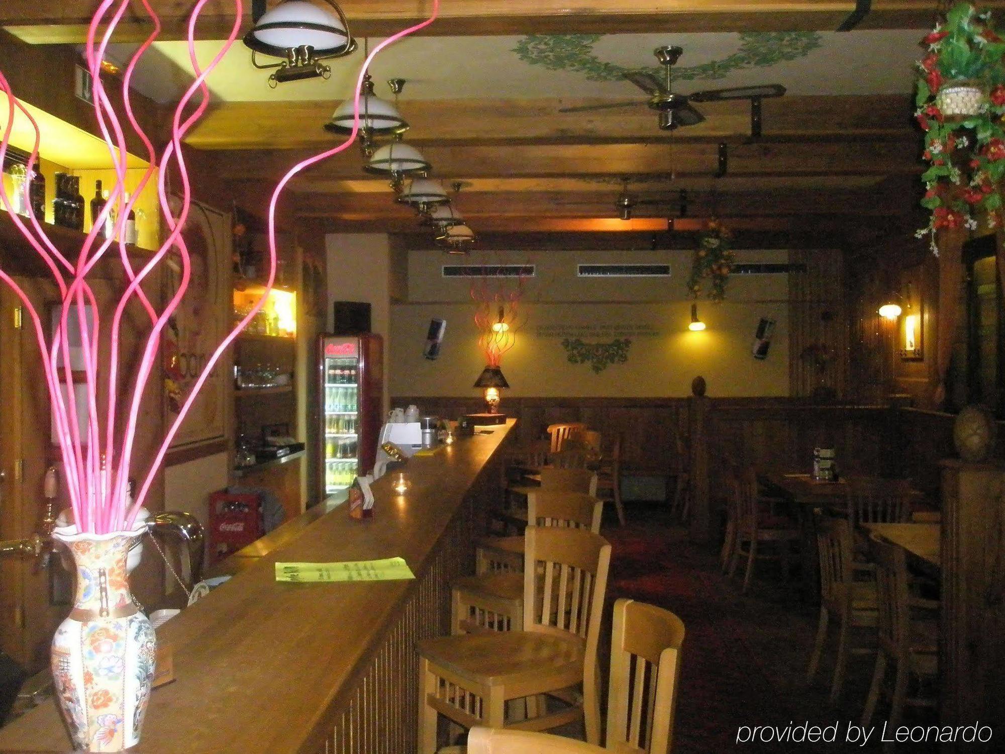 Hotel Zlaty Lev 4*